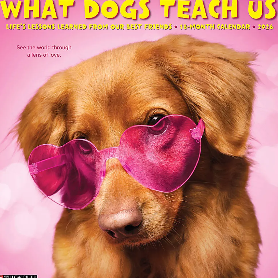 2026 Willow Creek Press Animals Monthly Wall Calendar, 12" x 12", What Dogs Teach Us, January To December, 53164