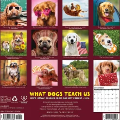 2026 Willow Creek Press Animals Monthly Wall Calendar, 12