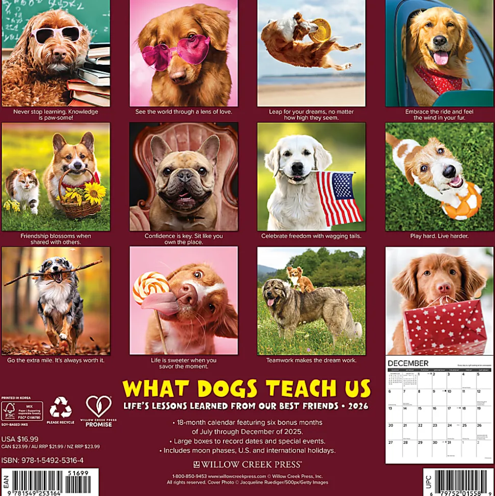 2026 Willow Creek Press Animals Monthly Wall Calendar, 12" x 12", What Dogs Teach Us, January To December, 53164