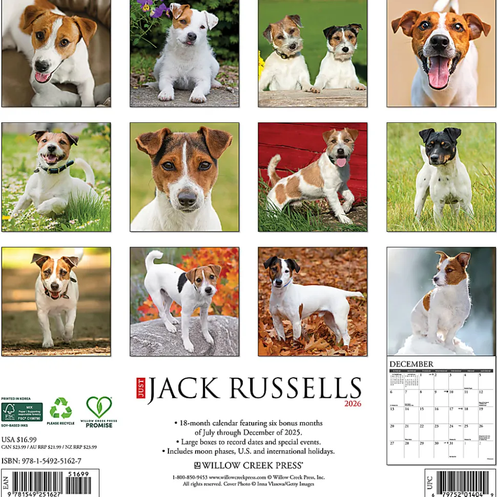 2026 Willow Creek Press Animals Monthly Wall Calendar, 12" x 12", Jack Russells, January To December, 51627
