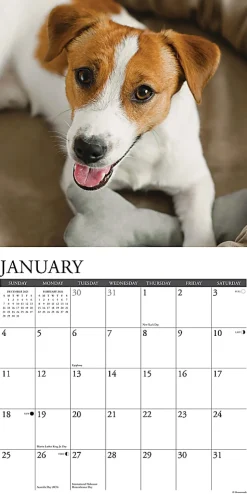 2026 Willow Creek Press Animals Monthly Wall Calendar, 12