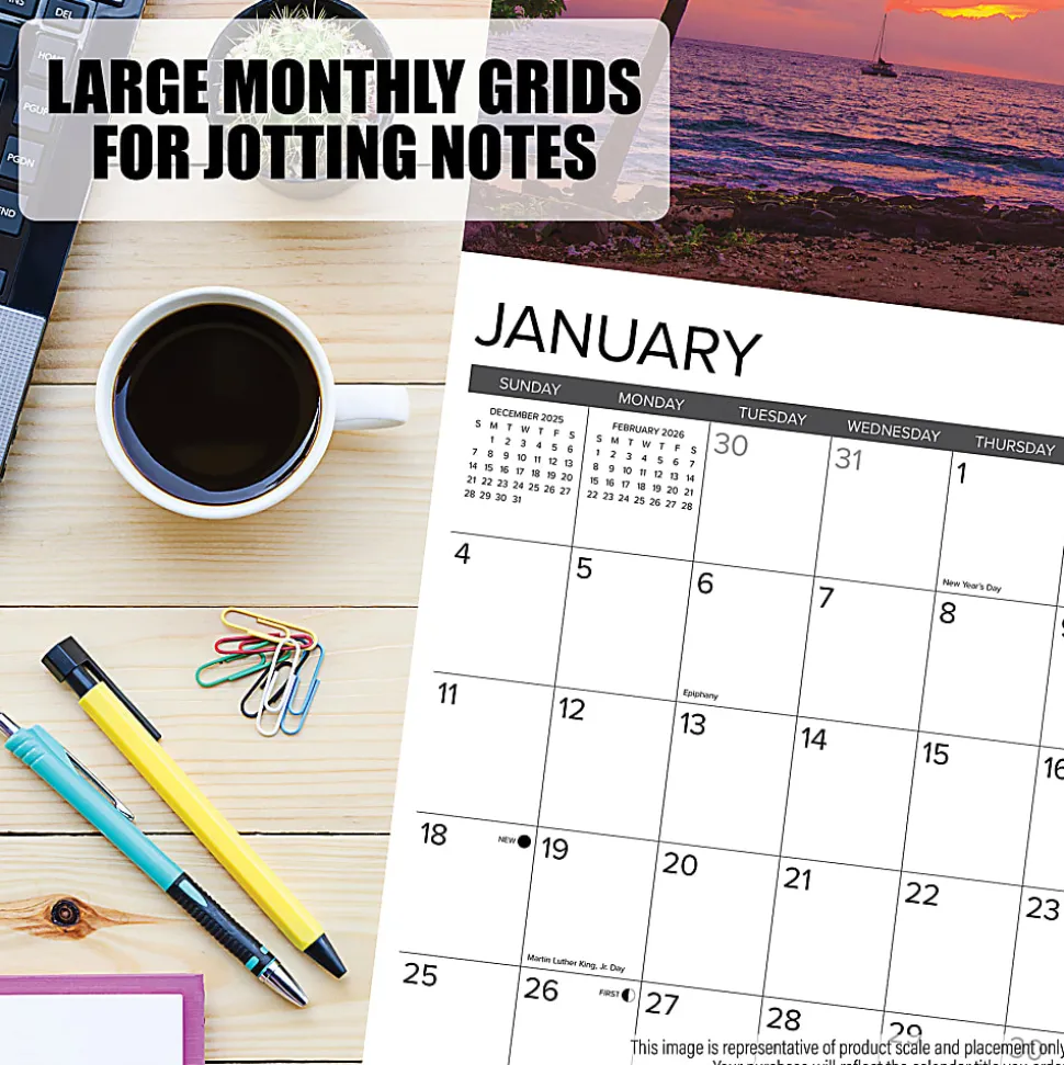 2026 Willow Creek Press Animals Monthly Wall Calendar, 12" x 12", Boxer Puppies, January To December, 50361