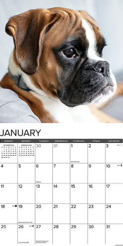 2026 Willow Creek Press Animals Monthly Wall Calendar, 12
