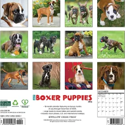 2026 Willow Creek Press Animals Monthly Wall Calendar, 12