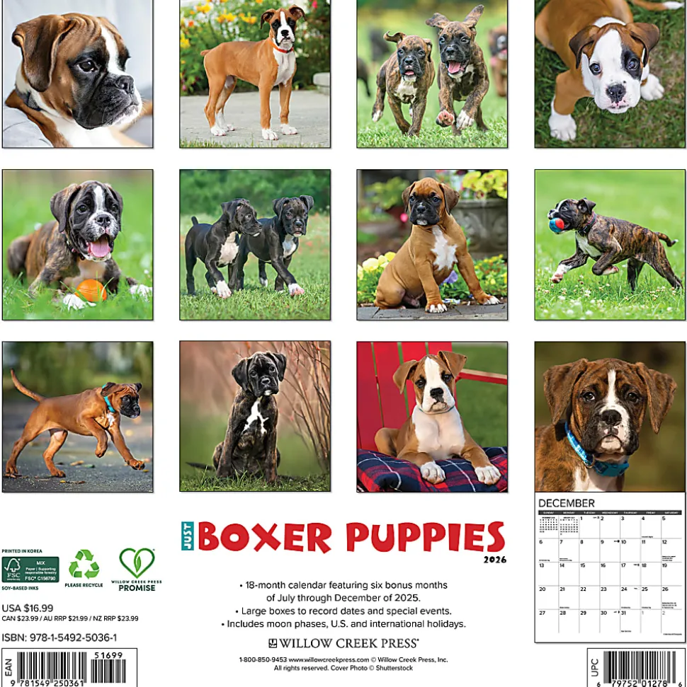 2026 Willow Creek Press Animals Monthly Wall Calendar, 12" x 12", Boxer Puppies, January To December, 50361