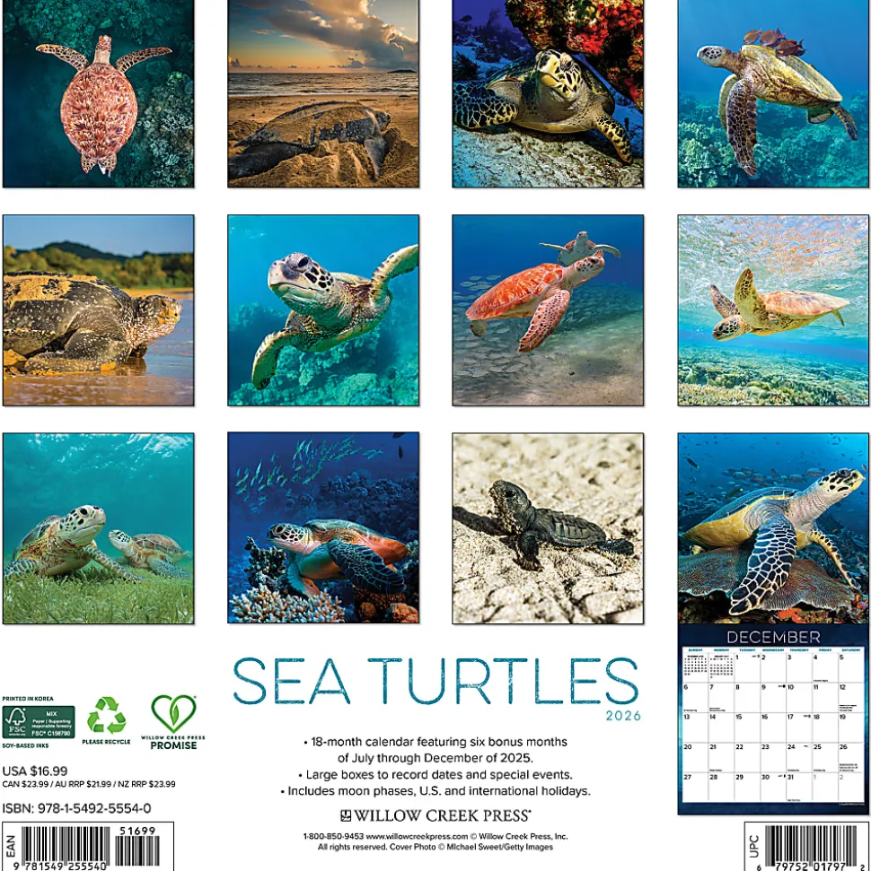 2026 Willow Creek Press Animals Monthly Wall Calendar, 12" x 12", Sea Turtles, January To December, 55540