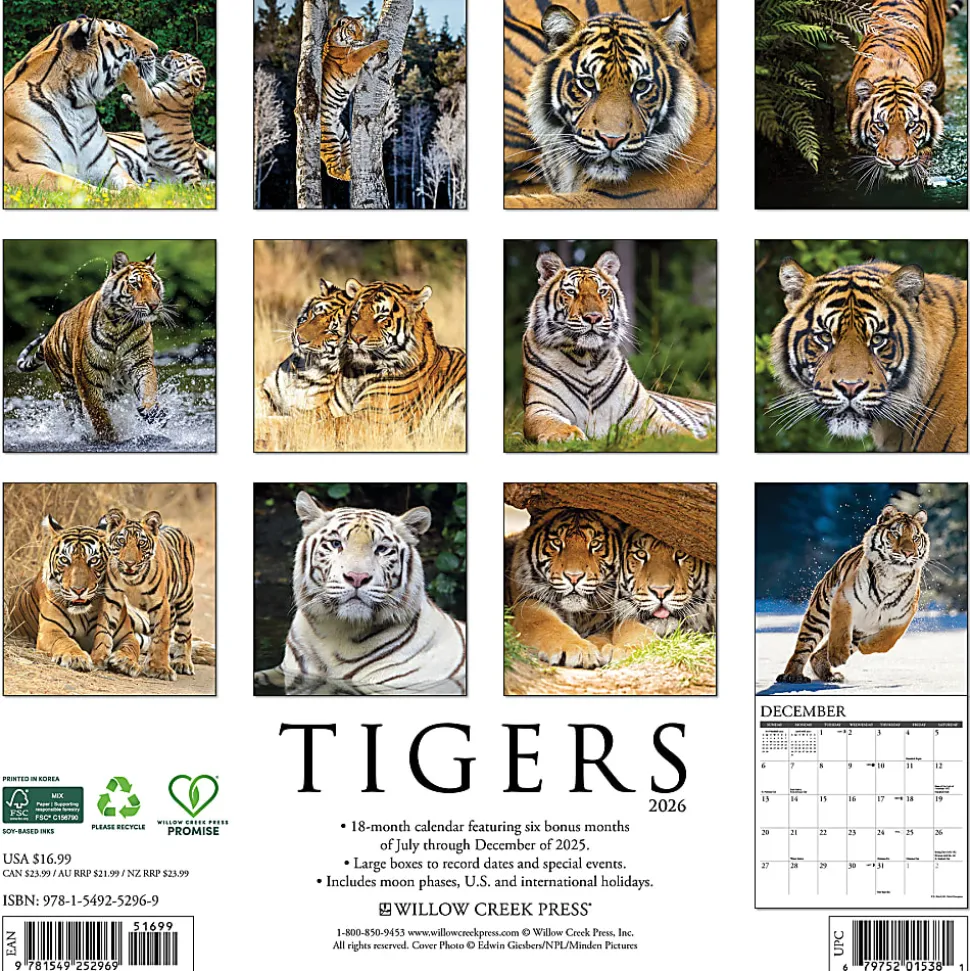 2026 Willow Creek Press Animals Monthly Wall Calendar, 12" x 12", Tigers, January To December, 52969