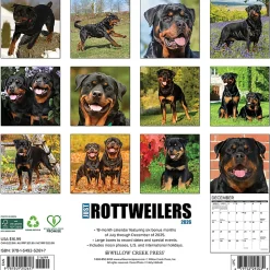 2026 Willow Creek Press Animals Monthly Wall Calendar, 12