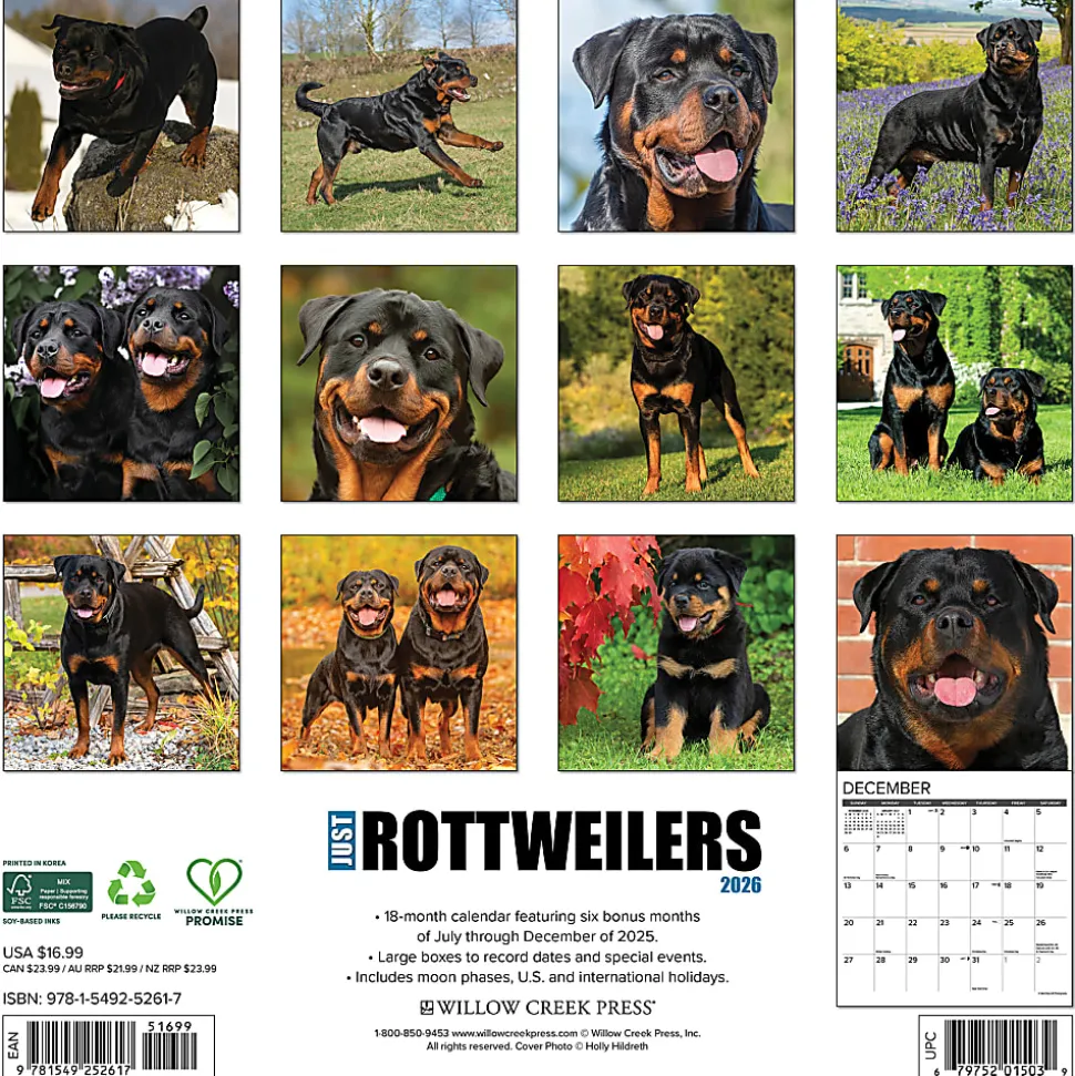 2026 Willow Creek Press Animals Monthly Wall Calendar, 12" x 12", Rottweilers, January To December, 52617