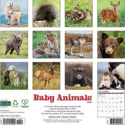 2026 Willow Creek Press Animals Monthly Wall Calendar, 12" x 12", Baby Animals, January To December, 50002