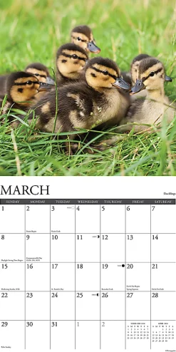 2026 Willow Creek Press Animals Monthly Wall Calendar, 12