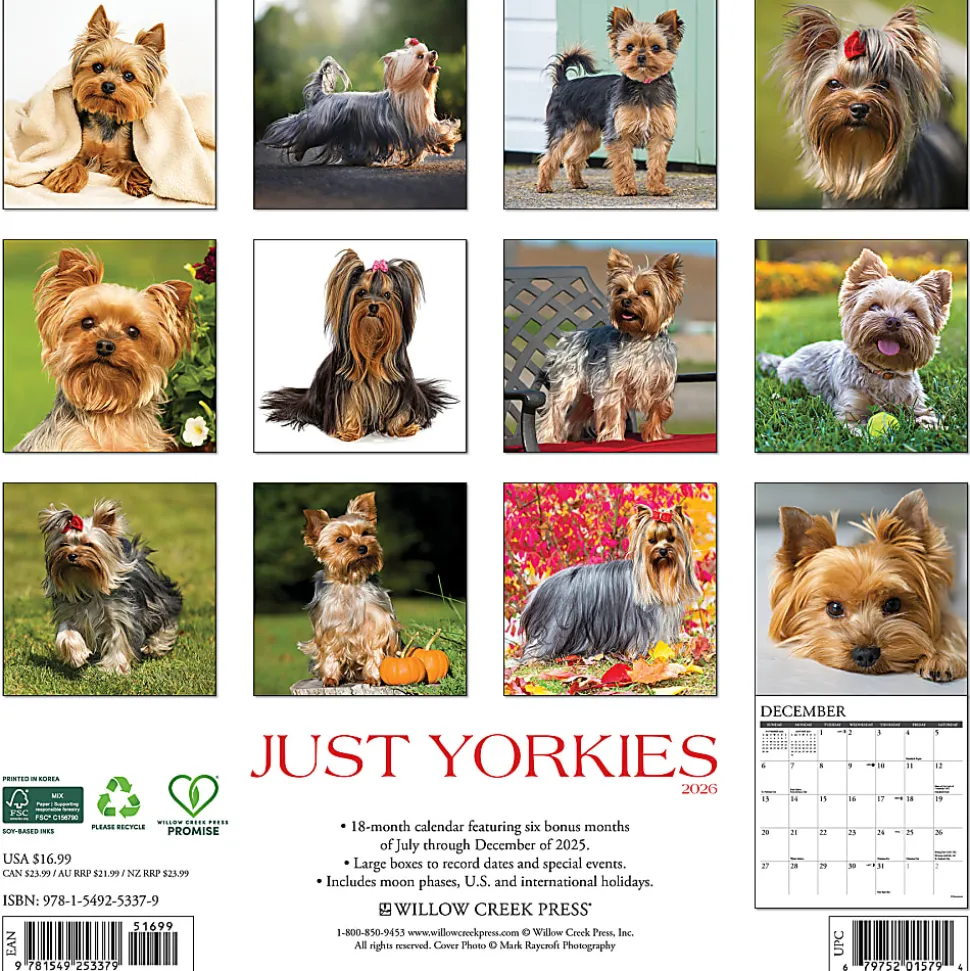 2026 Willow Creek Press Animals Monthly Wall Calendar, 12" x 12", Beagle Rules, January To December, 50149