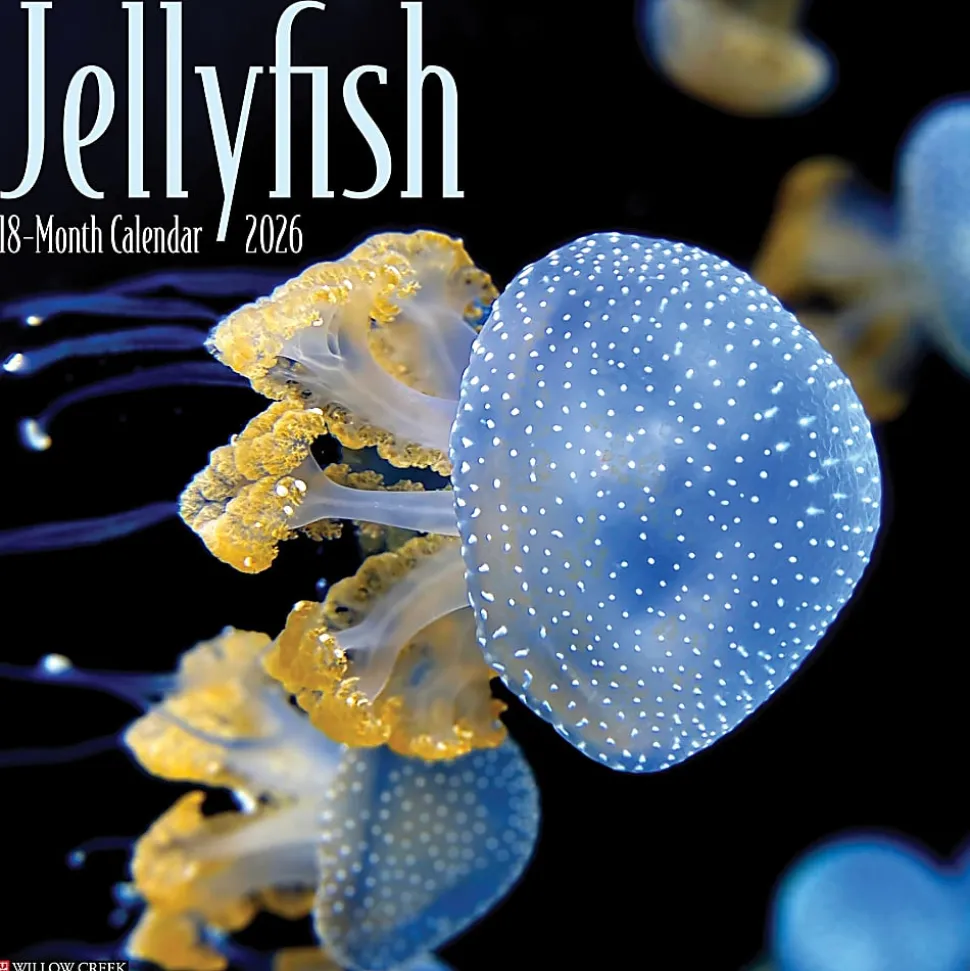 2026 Willow Creek Press Animals Monthly Wall Calendar, 12" x 12", Jellyfish, January To December, 55892