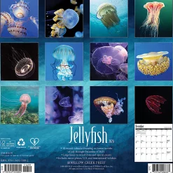 2026 Willow Creek Press Animals Monthly Wall Calendar, 12