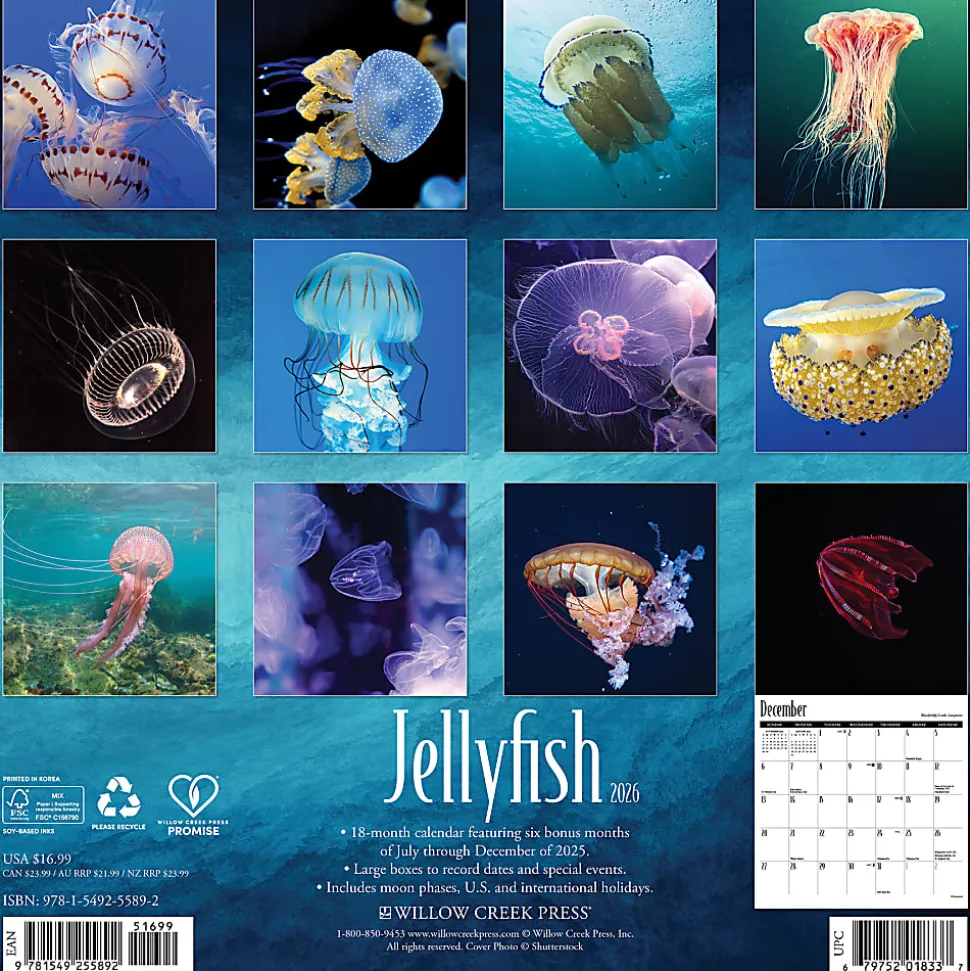 2026 Willow Creek Press Animals Monthly Wall Calendar, 12" x 12", Jellyfish, January To December, 55892