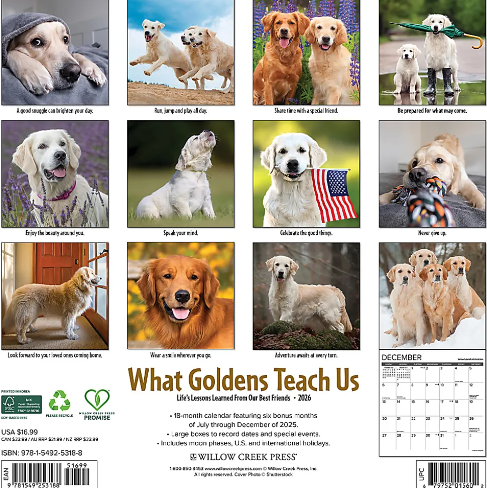 2026 Willow Creek Press Animals Monthly Wall Calendar, 12" x 12", What Goldens Teach Us, January To December, 53188
