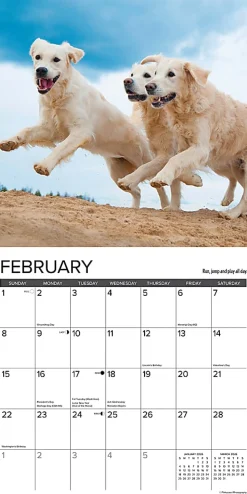 2026 Willow Creek Press Animals Monthly Wall Calendar, 12