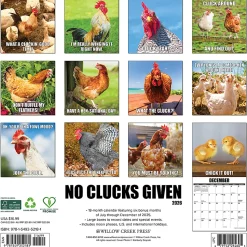 2026 Willow Creek Press Animals Monthly Wall Calendar, 12" x 12", No Clucks Given, January To December, 52181
