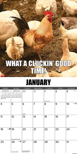 2026 Willow Creek Press Animals Monthly Wall Calendar, 12" x 12", No Clucks Given, January To December, 52181