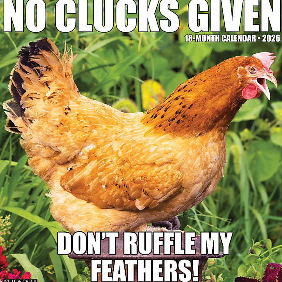2026 Willow Creek Press Animals Monthly Wall Calendar, 12" x 12", No Clucks Given, January To December, 52181