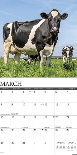 2026 Willow Creek Press Animals Monthly Wall Calendar, 12