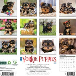 2026 Willow Creek Press Animals Monthly Wall Calendar, 12