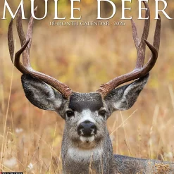 2026 Willow Creek Press Animals Monthly Wall Calendar, 12" x 12", Mule Deer, January To December, 52051