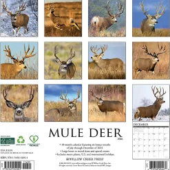 2026 Willow Creek Press Animals Monthly Wall Calendar, 12