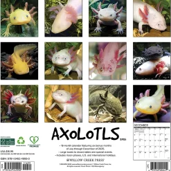 2026 Willow Creek Press Animals Monthly Wall Calendar, 12