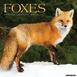 2026 Willow Creek Press Animals Monthly Wall Calendar, 12