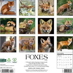 2026 Willow Creek Press Animals Monthly Wall Calendar, 12