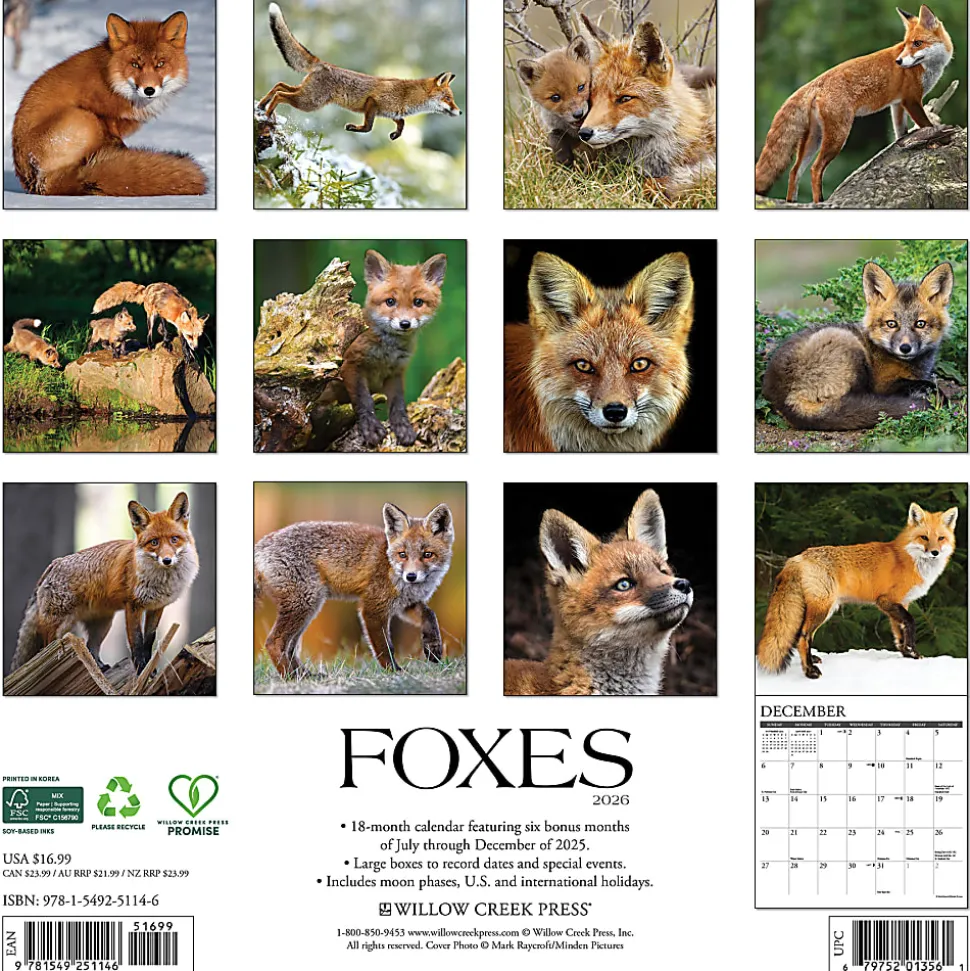 2026 Willow Creek Press Animals Monthly Wall Calendar, 12" x 12", Shih Tzu Puppies, January To December, 52778