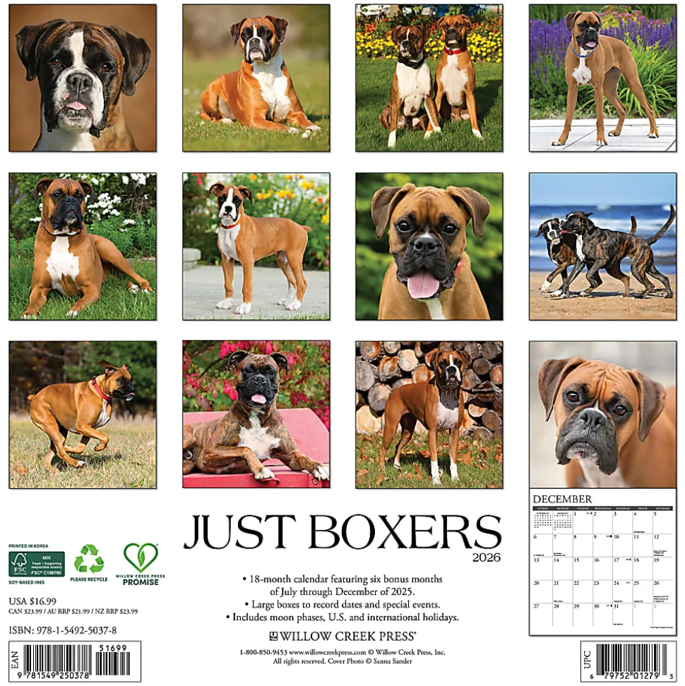2026 Willow Creek Press Animals Monthly Wall Calendar, 12" x 12", Highland Cows B&W, January To December, 55847