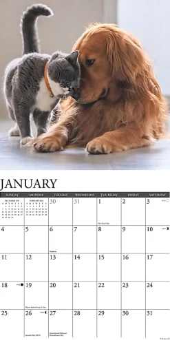 2026 Willow Creek Press Animals Monthly Wall Calendar, 12" x 12", Cats & Dogs, January To December, 50620