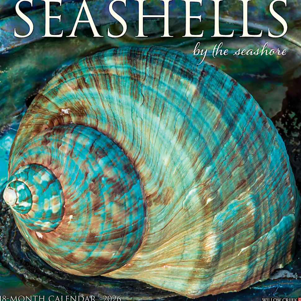 2026 Willow Creek Press Art & Design Monthly Wall Calendar, 12" x 12", Seashells, January To December, 52709