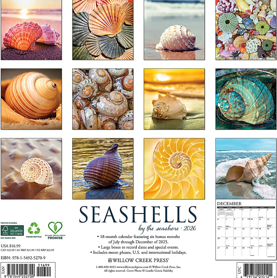 2026 Willow Creek Press Art & Design Monthly Wall Calendar, 12" x 12", Seashells, January To December, 52709