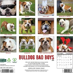 2026 Willow Creek Press Art & Design Monthly Wall Calendar, 12" x 12", Bulldog Bad Boys, January To December, 50415
