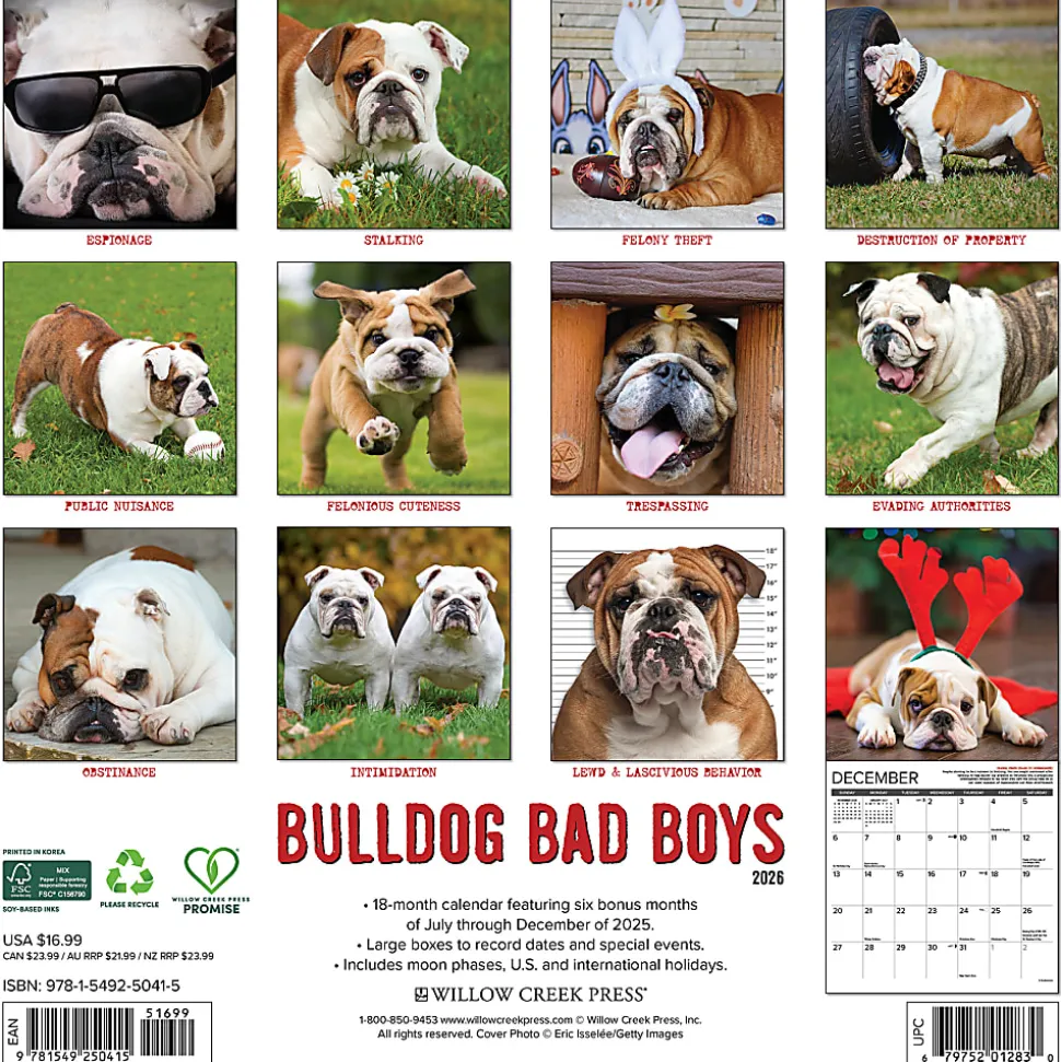 2026 Willow Creek Press Art & Design Monthly Wall Calendar, 12" x 12", Bulldog Bad Boys, January To December, 50415