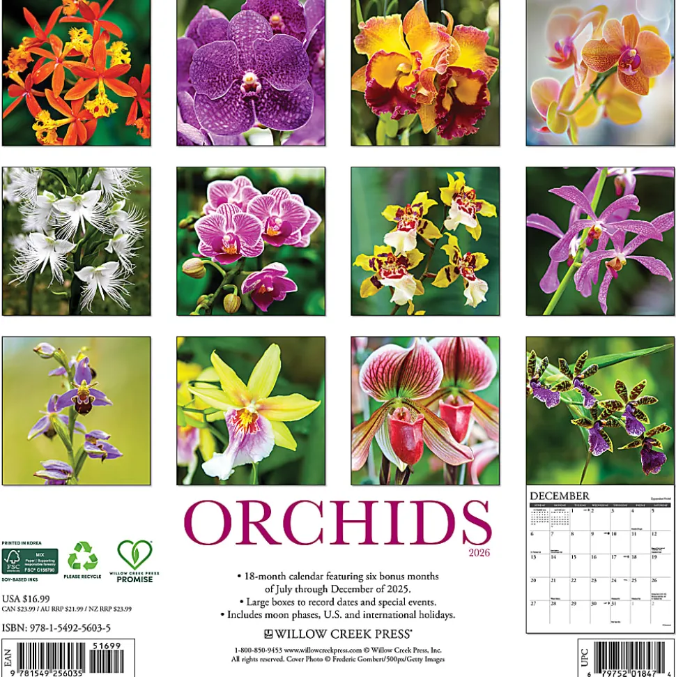 2026 Willow Creek Press Art & Design Monthly Wall Calendar, 12" x 12", Orchids, January To December, 56035