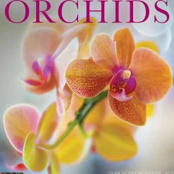 2026 Willow Creek Press Art & Design Monthly Wall Calendar, 12" x 12", Orchids, January To December, 56035