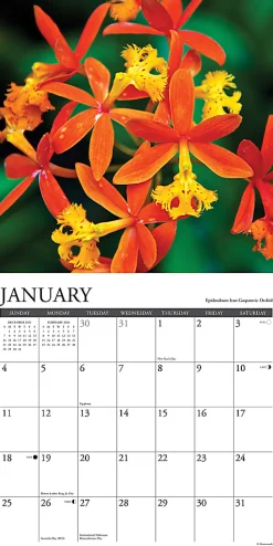 2026 Willow Creek Press Art & Design Monthly Wall Calendar, 12