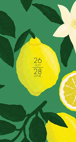 Willow Creek Press Checkbook 2-Year Monthly Academic Pocket Planner, 3-1/2" x 6-1/2", Lemon Fresh, July 2026 to June 2028, Total Quantity 1