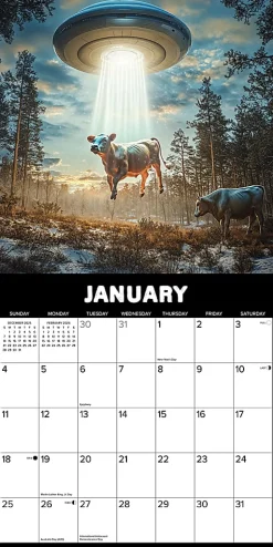 2026 Willow Creek Press Humor & Comics Monthly Wall Calendar, 12