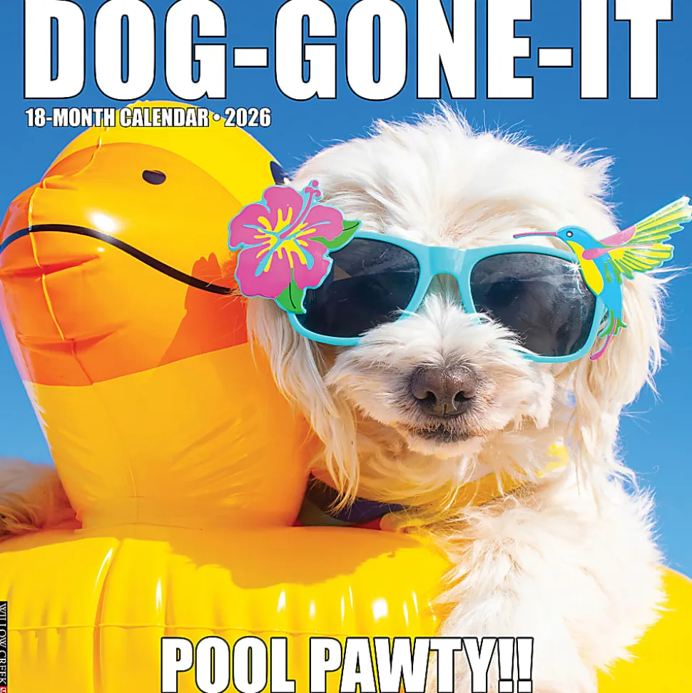 2026 Willow Creek Press Humor & Comics Monthly Wall Calendar, 12" x 12", Dog-Gone-It, January To December, 50996