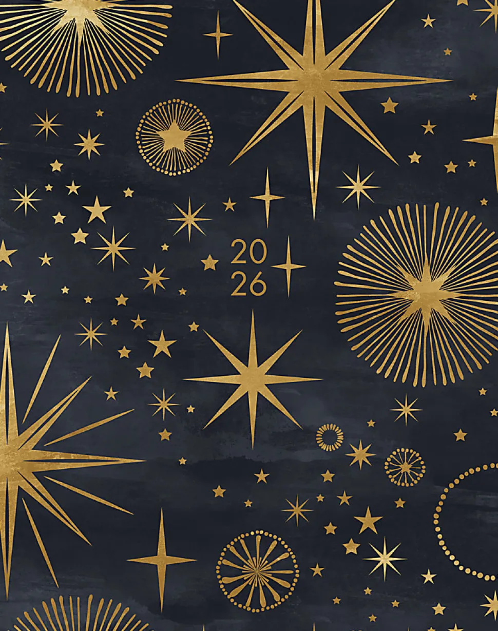 2026 Willow Creek Press Monthly Booklet Planner, 7-1/2" x 9-1/2", Starry Night, January To December, 57582