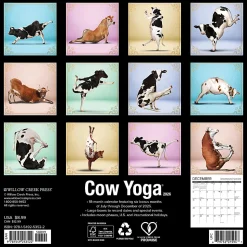 2026 Willow Creek Press Monthly Mini Wall Calendar, 7" x 7", Cow Yoga, January To December, 53522