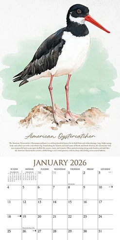 2026 Willow Creek Press Monthly Wall Calendar, 12