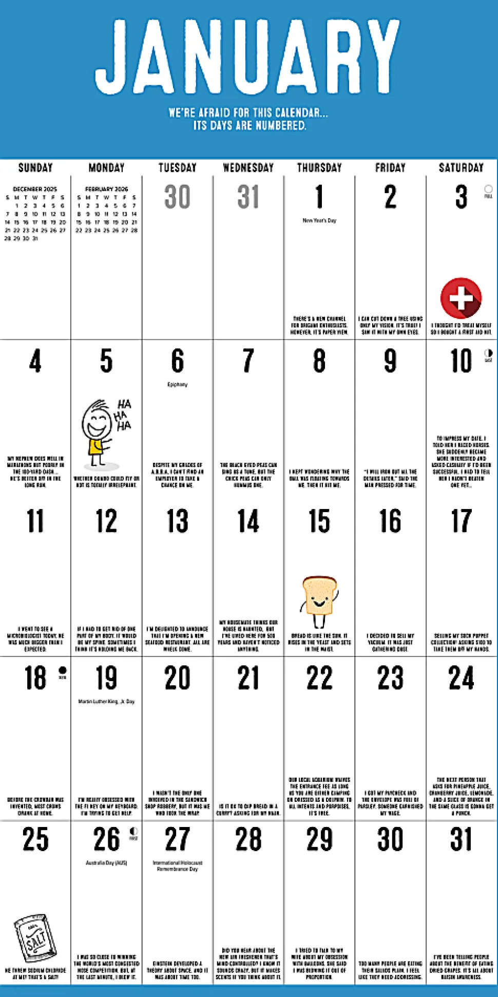 2026 Willow Creek Press Monthly Wall Calendar, 12" x 12", Pun Intended, January To December, O52518