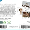 2026 Willow Creek Press Page-A-Day Daily Desk Calendar, 6-1/4" x 5-1/2", Bad Kitties, January To December, 53959