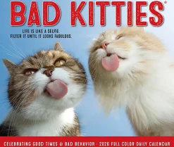 2026 Willow Creek Press Page-A-Day Daily Desk Calendar, 6-1/4" x 5-1/2", Bad Kitties, January To December, 53959